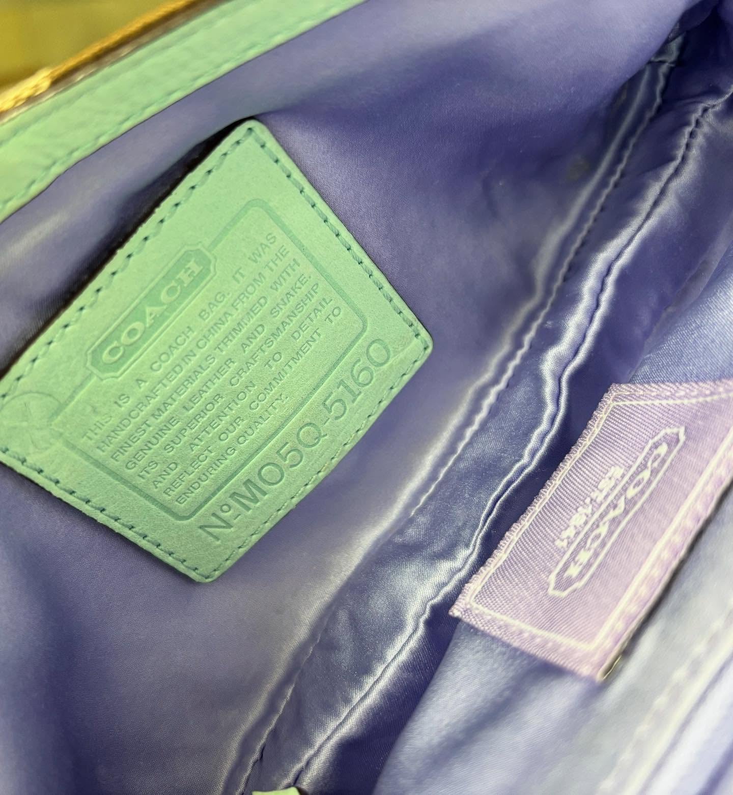 Coach Bag